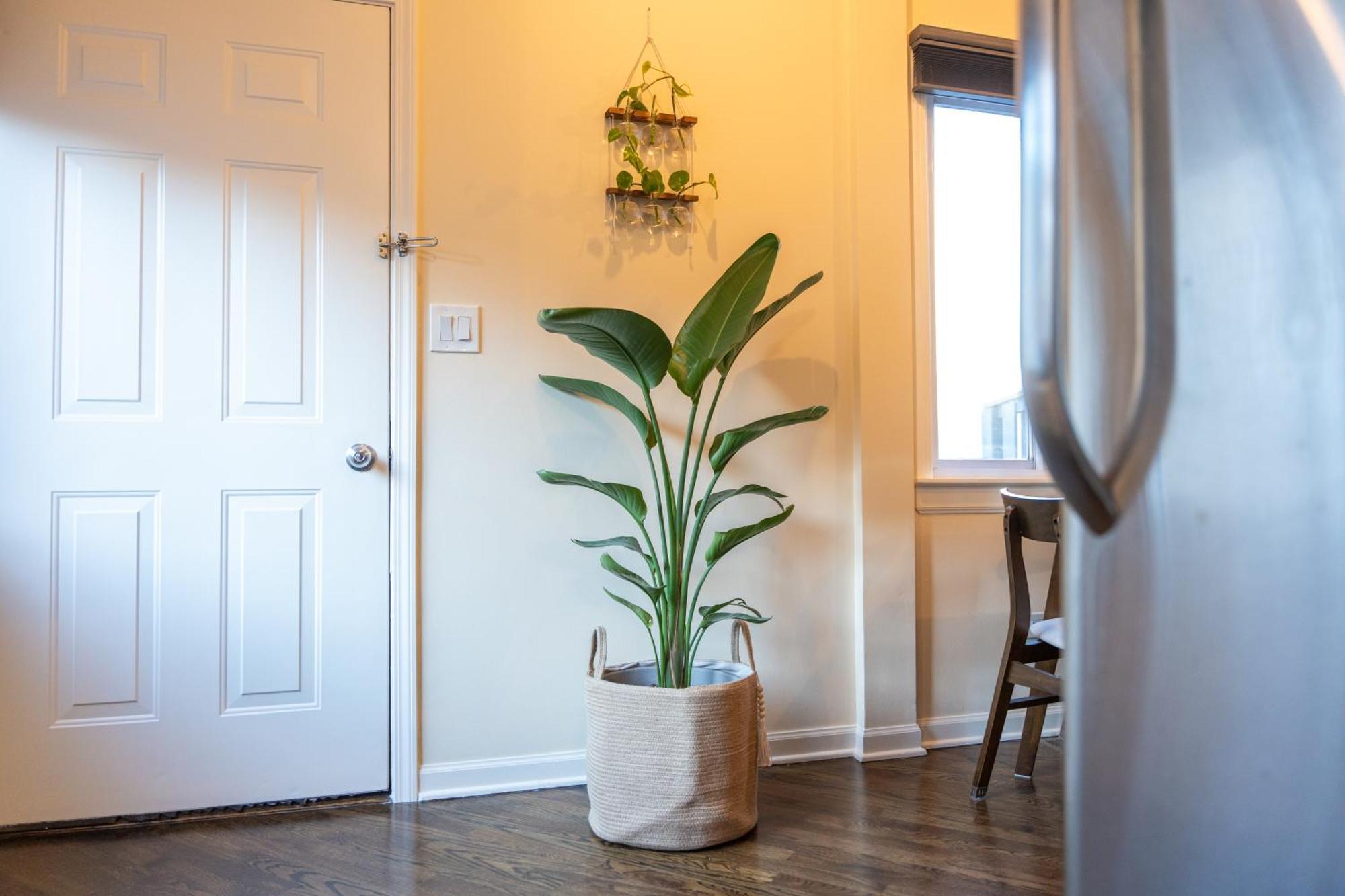 Bucktown Private Condo Чикаго Экстерьер фото